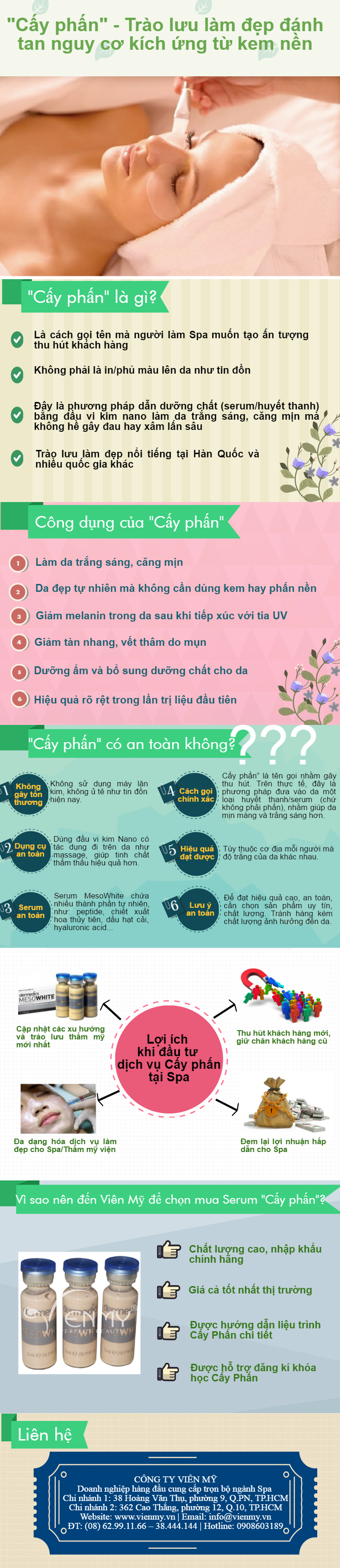 infographic-cay-phan